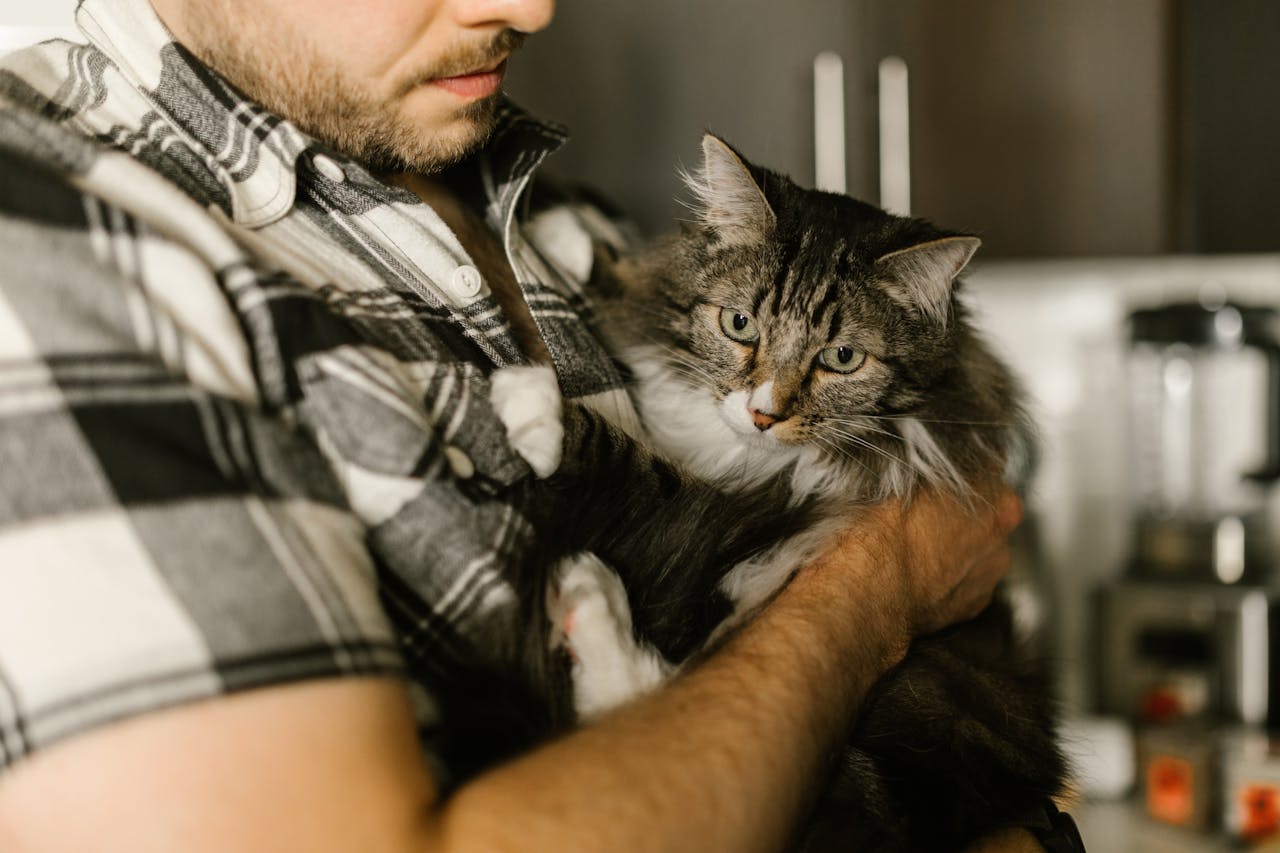 gallery-4 A bearded man in plaid holding a fluffy tabby cat indoors, showcasing a cozy pet moment.